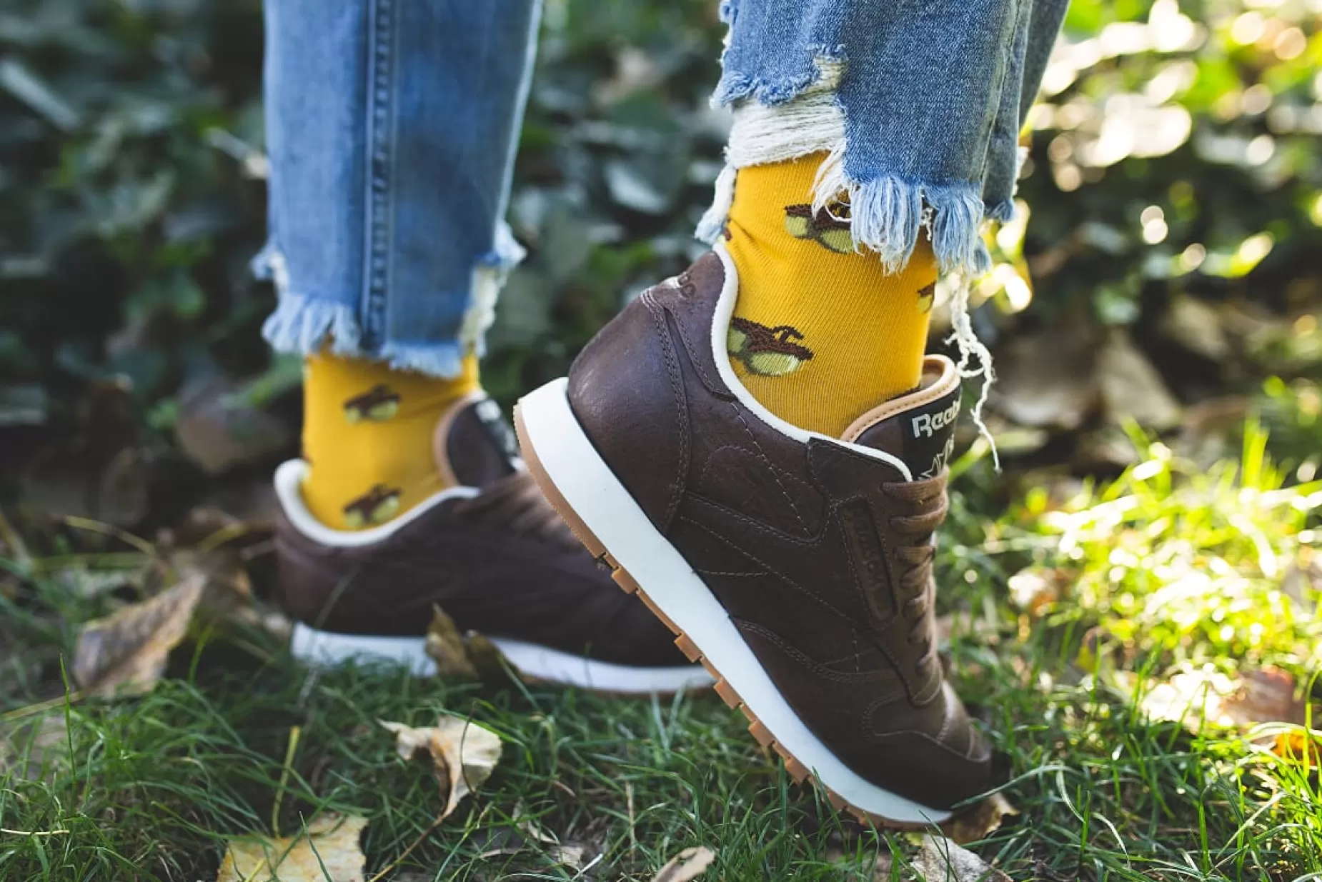Men's Socks | More Acorns Patterned Socks In By Yellow