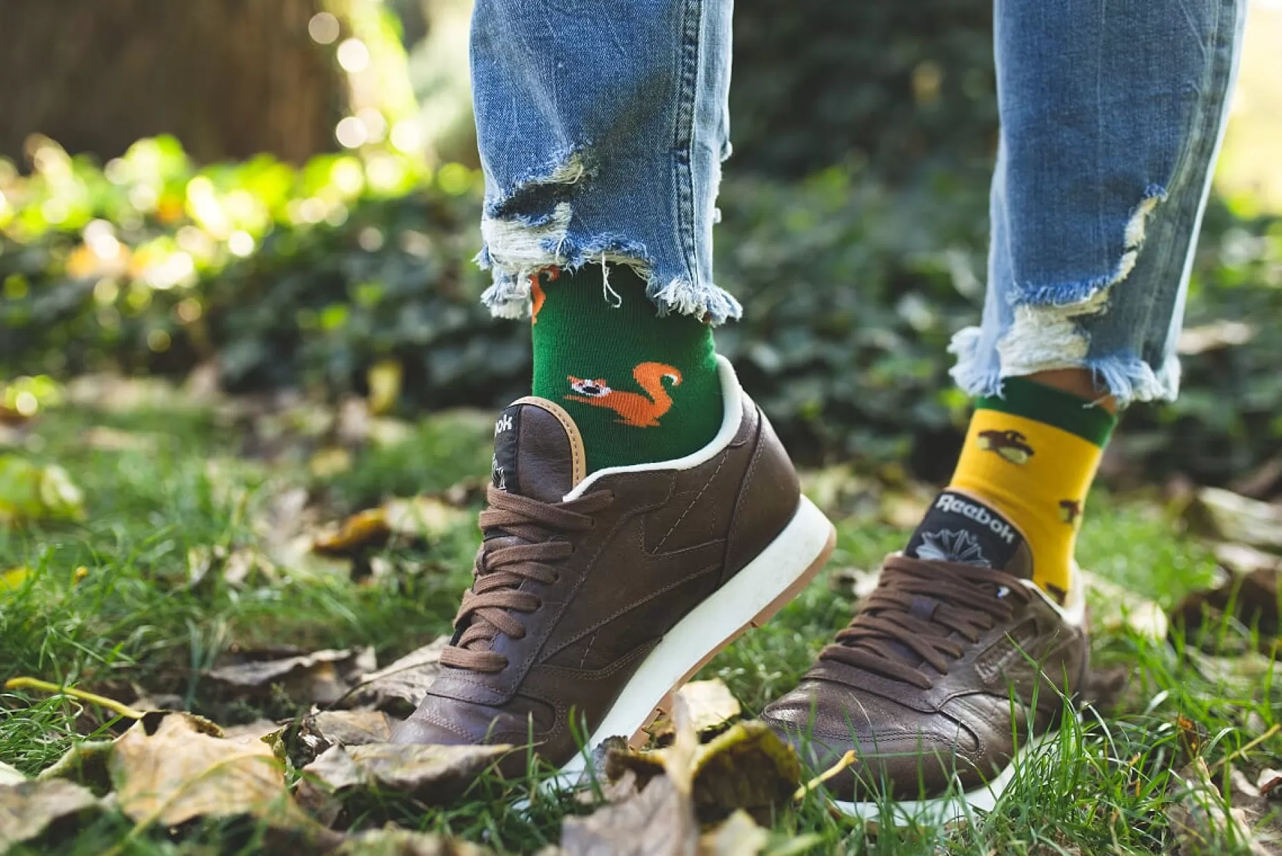 Cotton Socks | More Acorns Patterned Socks In By Yellow