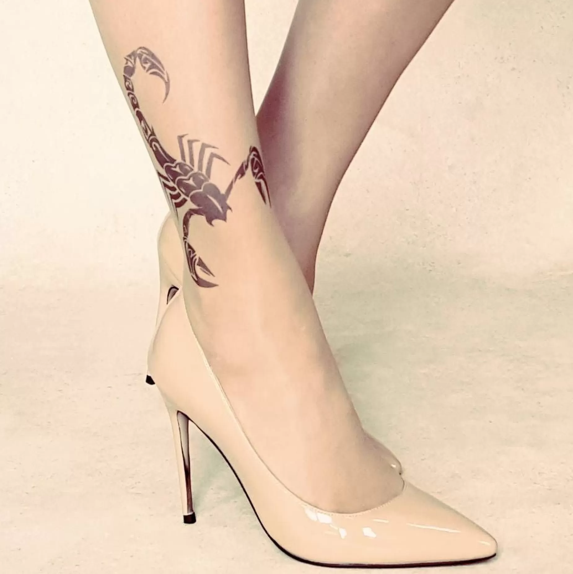 Tattoo Tights | Stop & Stare Black Scorpion Tattoo Tights By Sun: Medium Tan With Peachy Brown Tones For A Healthy Sun Tan Effect